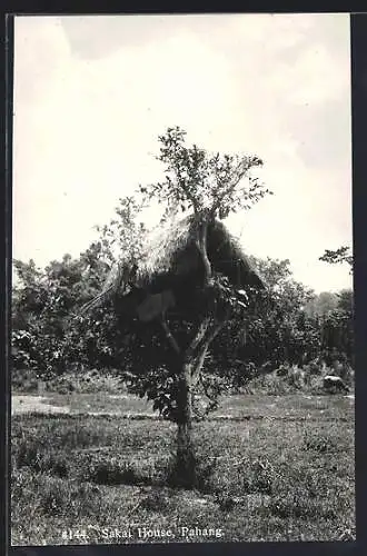AK Pahang, Sakai House
