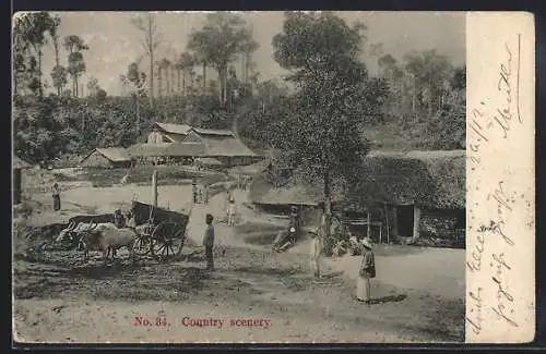 AK Malaysia, Country scenery, Rindergespann