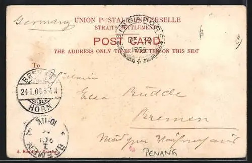 AK Malaysia, Country scenery, Rindergespann