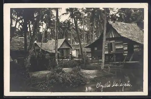 AK Malaya, Dwelling houses between palms