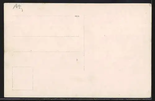 AK Malaya, Dwelling houses between palms