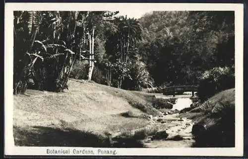 AK Penang, Botanical Garden, water stream with bridge