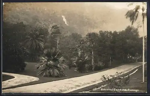 AK Penang, Botanical Gardens