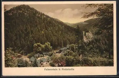 AK Falkenstein b. Probstzella, Brauerei und Gaststätte, Bes. Karl Schreider