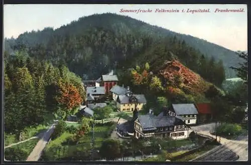 AK Falkenstein / Oberfranken, Ortsansicht aus der Vogelschau