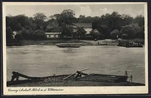 AK Coswig /Anhalt, Blick a. d. Elbterrasse