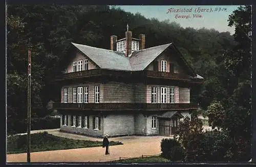 AK Alexisbad /Harz, Herzogl. Villa