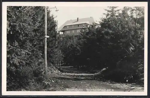 AK Oybin, Hochwaldbaude