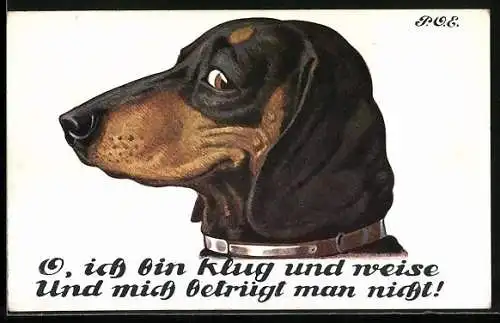 Künstler-AK P. O. Engelhard (P.O.E.): O, ich bin klug und weise und mich betrügt man nicht!, lächelnder Dackel