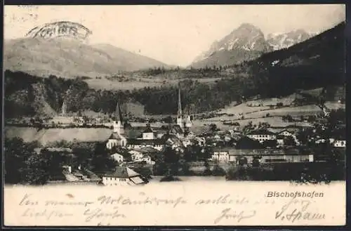AK Bischofshofen, Ortspanorama