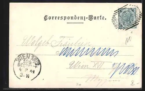 AK Schottwien, Teilansicht mit Strassenpartie und Sonnwendstein