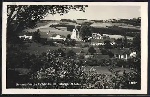 AK Schönau i. G., Gesamtansicht