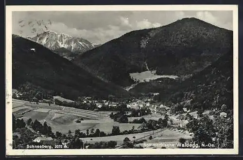 AK Waldegg /N.-Oe., Teilansicht mit Schneeberg