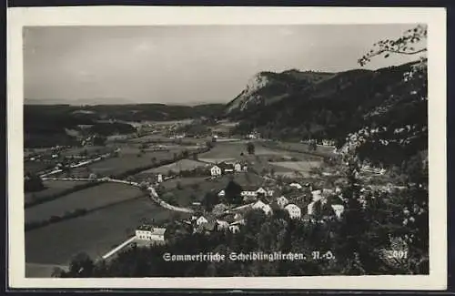 AK Scheiblingkirchen /N.-Ö., Teilansicht mit Strassenpartie