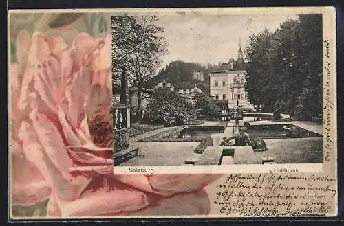 AK Salzburg, Partie am Schloss Hellbrunn, Blüte