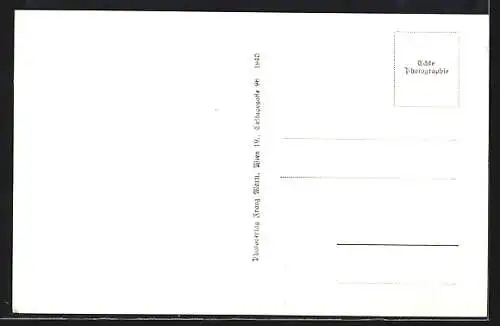 AK Weitra, Ortsausblick mit Schloss und Kirche