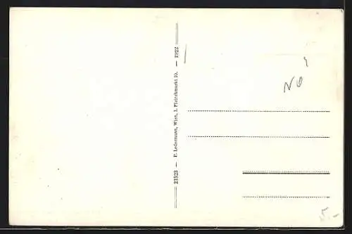 AK St. Aegyd am Neuwalde, Gesamtansicht aus der Vogelschau