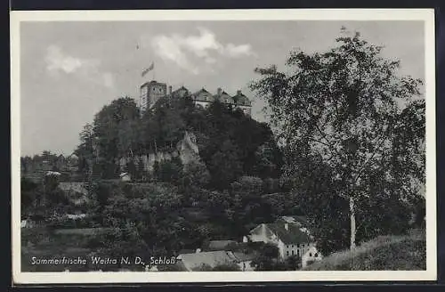 AK Weitra /N. D., Ortspartie mit Schloss
