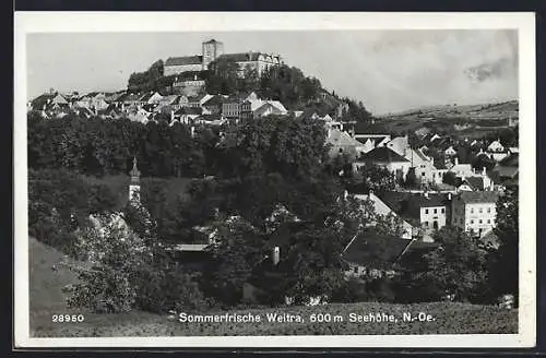 AK Weitra /N. Ö., Totalansicht mit Schloss