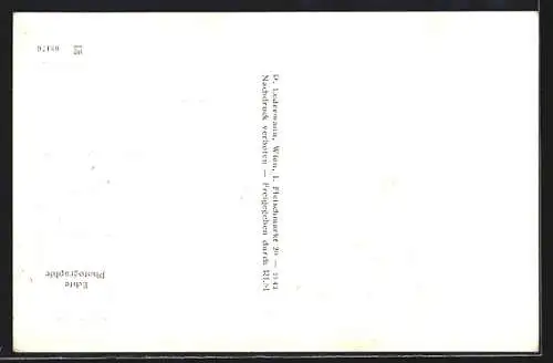 AK Weitra /N. Ö., Totalansicht mit Schloss