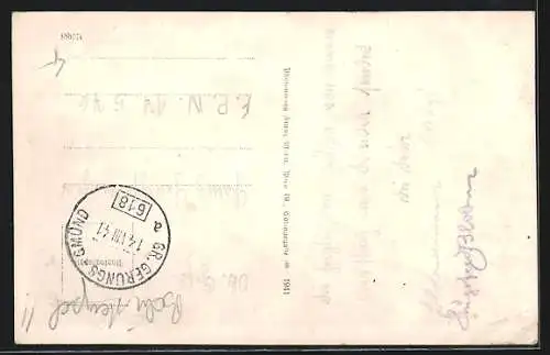 AK Weitra /N. D., Panorama mit Allee und Schlossblick