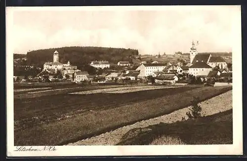 AK Litschau /N.-Ö., Ortspanorama mit Feldern