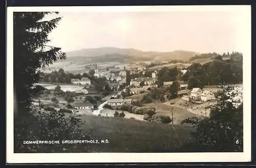 AK Grosspertholz /N.-Ö., Gesamtansicht von einem Berg aus