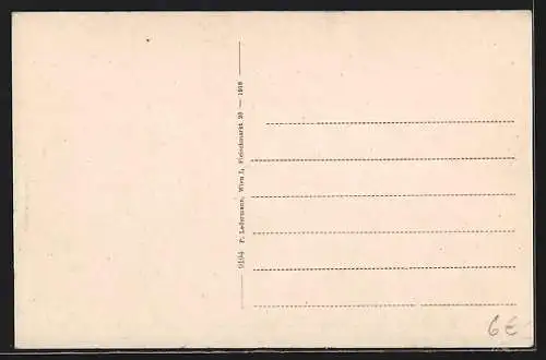 AK St. Aegyd am Neuwalde, Totalansicht