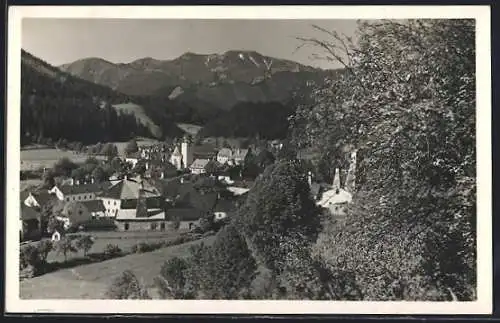 AK St. Aegyd a. Nw., Markt mit Göller