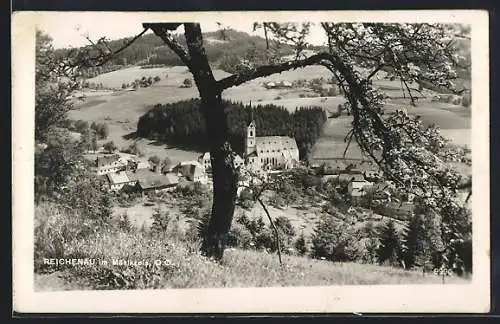 AK Reichenau im Mühlkreis, Ortspartie mit Kirche