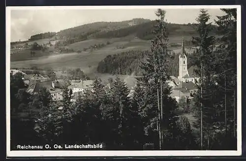 AK Reichenau, Landschaftsbild