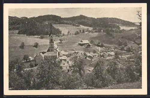 AK Reichenau i. Mühlkreis, Teilansicht mit Kirche