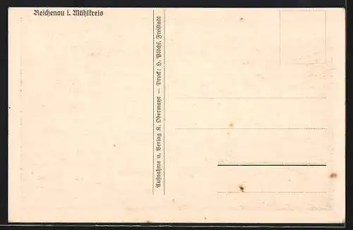 AK Reichenau i. Mühlkreis, Teilansicht mit Kirche