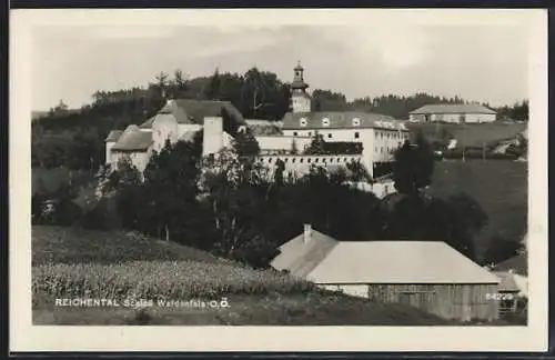 AK Reichenthal /O. Ö., Schloss Waldenfels