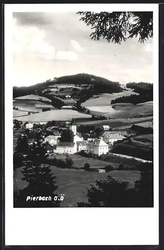 AK Pierbach /O. Ö., Blick auf den Ort