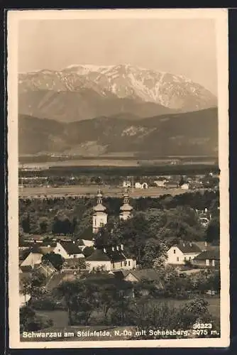 AK Schwarzau am Steinfeld, Ortsansicht mit Schneeberg