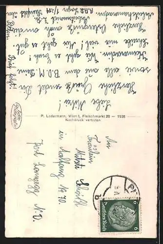 AK Schwarzau am Steinfeld, Ortsansicht mit Schneeberg