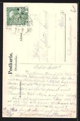 AK Schönbühel a. d. Donau, Gebäudeansicht