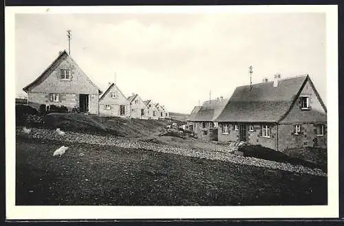 AK Buchen i. Odenwald, Siedlung Krautheim der Baugenossenschaft für den Landkreis Buchen e.G.m.b.H.