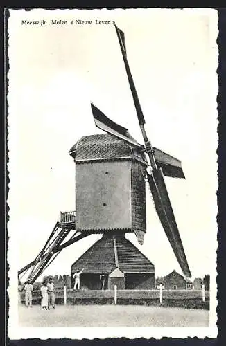 AK Meeswijk, Molen Nieuw Leven, Windmühle