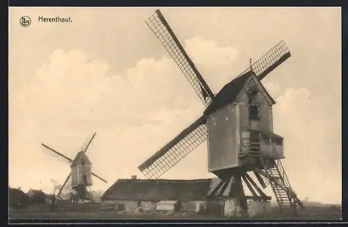 AK Herenthout, Windmühlen