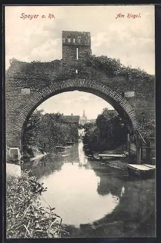 AK Speyer, Am Riegel, Flussansicht