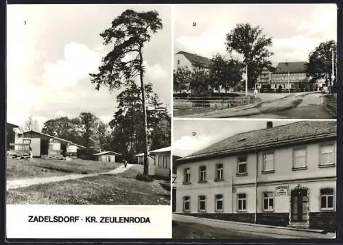 AK Zadelsdorf, Gasthaus zum Steinbock, Teilansicht