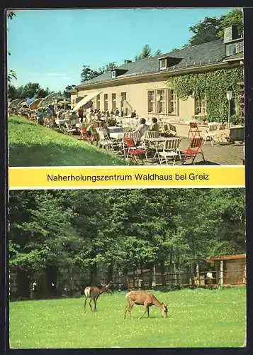 AK Waldhaus b. Greiz, Naherholungszentrum, Tiergehege