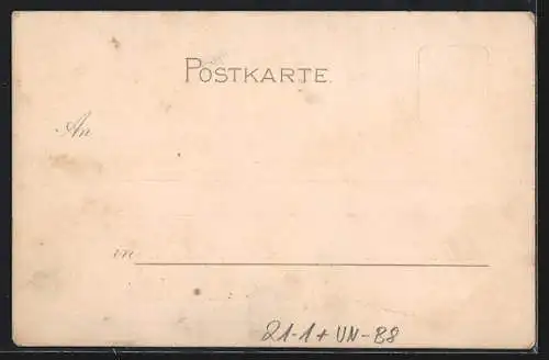 AK Budapest, Volkstheater, Halt gegen das Licht