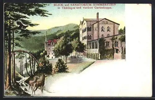 Künstler-AK Saalfeld / Saale, Kurhotel Sanatorium Sommerstein und vordere Gartenkuppe