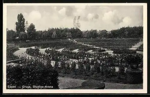 AK Essen, Ausstellung Gruga, Blumen-Arena