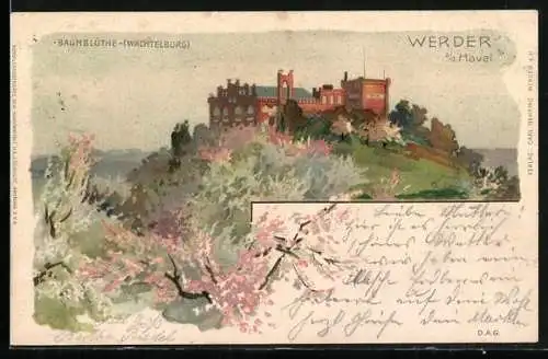 Lithographie Werder a.d. Havel, Baumblüte, Wachtelburg