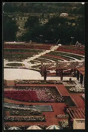 AK Essen, Gruga 1929, Dahlienarena in Mohnblüte, Im Vordergrund Pergola, Im Hintergrund Botanischer Garten