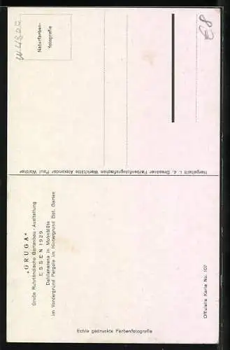 AK Essen, Gruga 1929, Dahlienarena in Mohnblüte, Im Vordergrund Pergola, Im Hintergrund Botanischer Garten